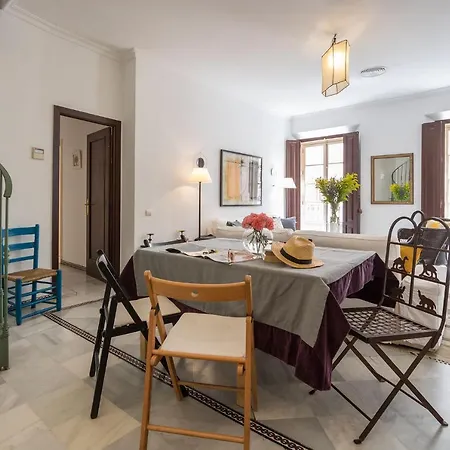 Santamaria Duplex Terrace 7 Pax * Seville